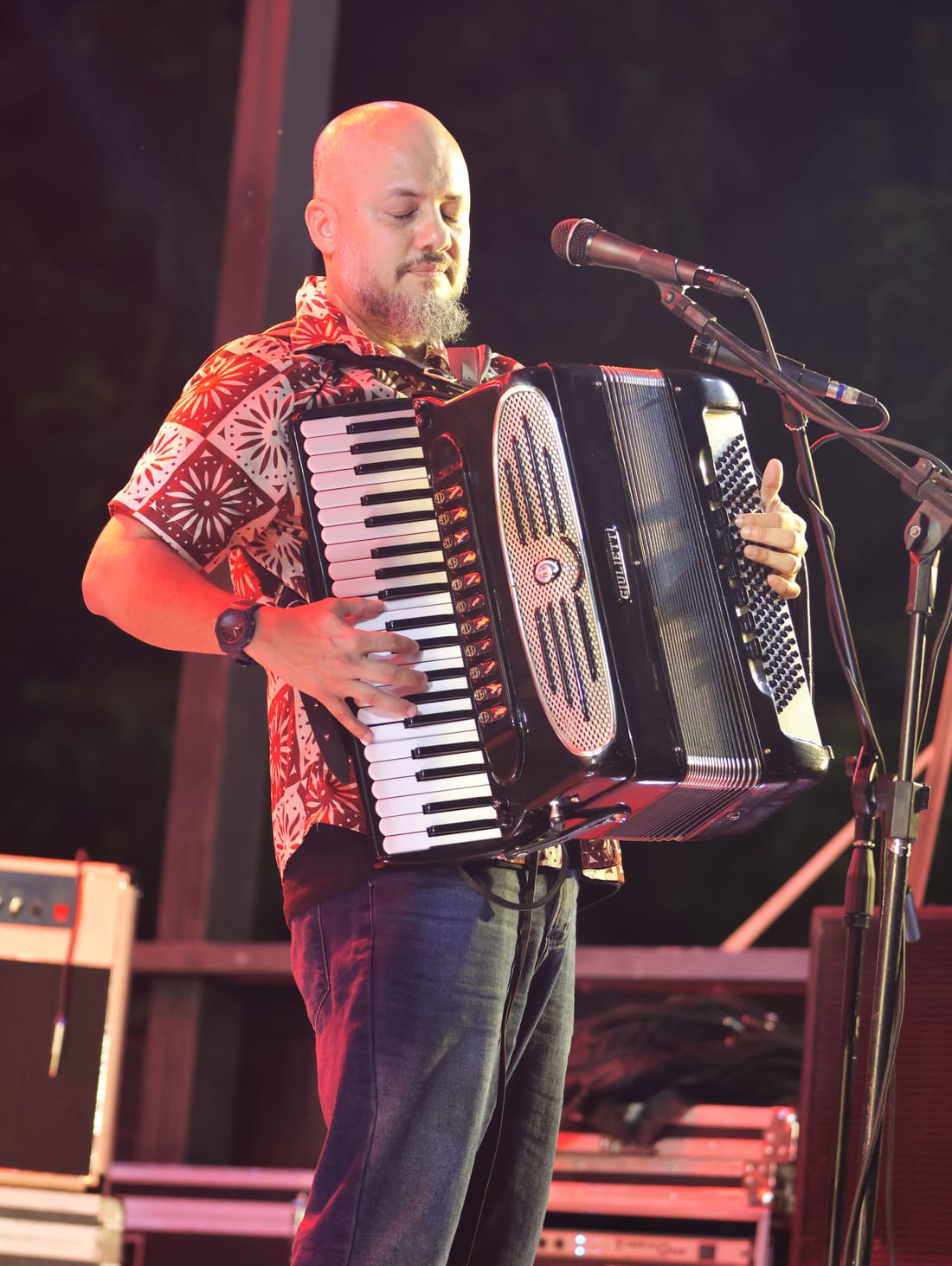 Sanfoneiro tocando ao vivo